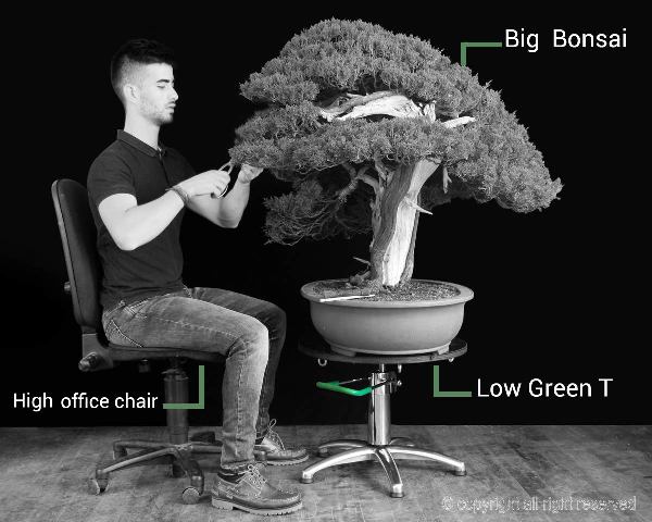 bonsai work with a turntable