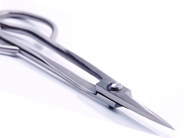 Fujimitsu Koedakiri Twig cutting Bonsai scissors 210mm 31075 4969968310759 