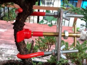 bending tool for bonsai