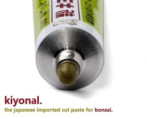 kiyonal. the imported cut paste balsam for bonsai 