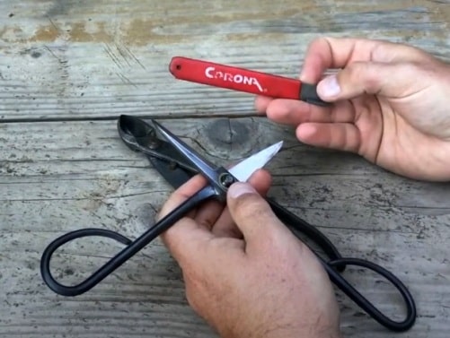 sharpening a shears with a tugnsten carbride