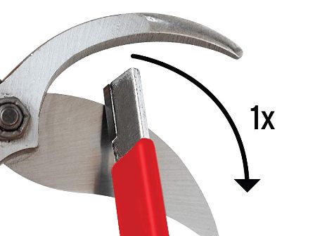 sharpening a branch cutter with a  tungsten carbide sharpener